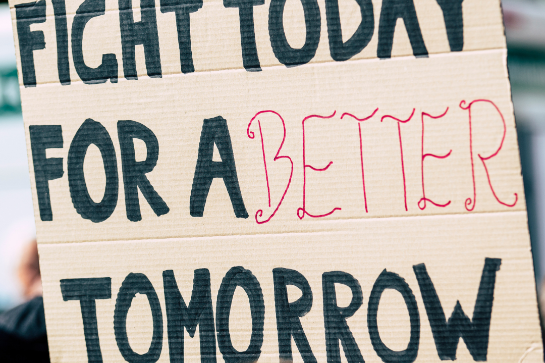 Our Picks &#8211; February 2026